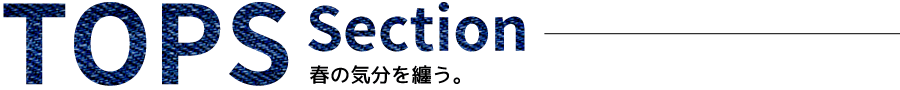 TOPS Section
